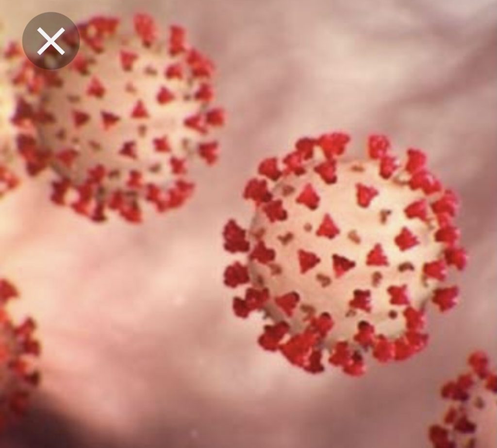 பிரான்சில் கடந்த 2019 ஆம் ஆண்டிலேயே கொரோனா வைரஸ் பரவியிருந்தற்குரிய ஆதாரங்கள் வெளியாகியுள்ளன