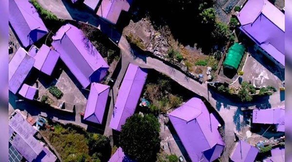 சுற்றுலா மக்களை கவர முழு நகரமே ஊதா நிறமாக மாற்றிய சம்பவம்.. வியந்துபோன மக்கள்!