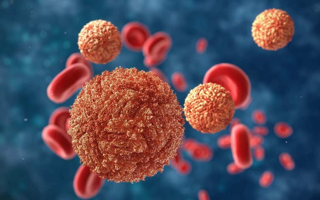 நாட்டில் அடையாளம் காணப்பட்டுள்ள 4 வகையான டெங்கு வைரஸ் பிறழ்வுகள்!