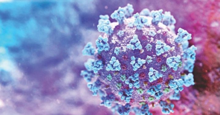 கொரோனா வைரஸ்- ஆய்வுக்காக ஒன்றுக்கூடும் இந்தியா, சீனா உள்ளிட்ட 4 நாடுகளின் விஞ்ஞானிகள்