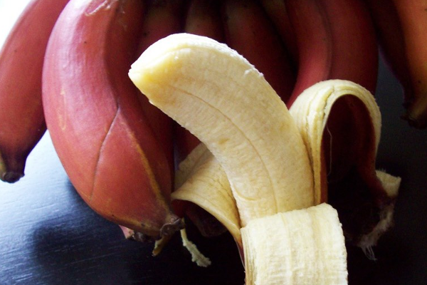 செவ்வாழைப் பழத்தில் இவ்வளவு நன்மைகளா?-Karihaalan news