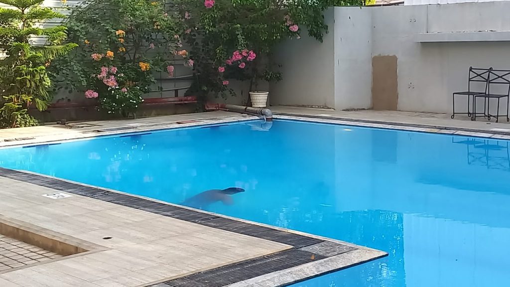 யாழில் பரபரப்பை ஏற்படுத்திய சம்பவம்!-Jaffna news