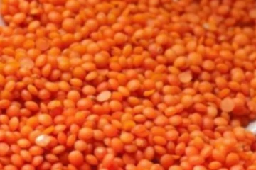 இலங்கையில் பருப்பின் விலை 1000 ரூபாயை தாண்டும்!-Karihaalan news