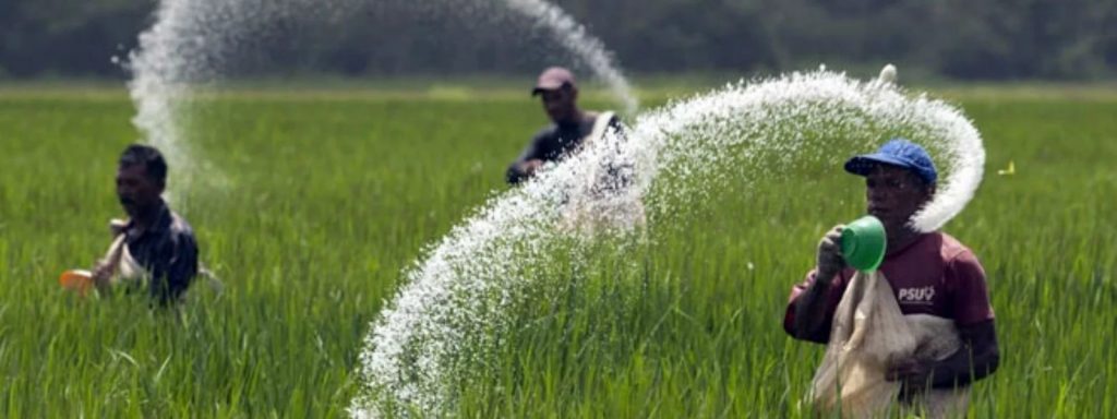 உரங்களை விரைவாக வழங்க அதிரடி நடவடிக்கை-Karihaalan news