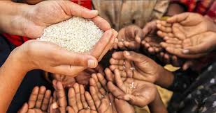 நாட்டு மக்கள் பட்டினியால் உயிரிழக்கும் அபாயம்!-Karihaalan news