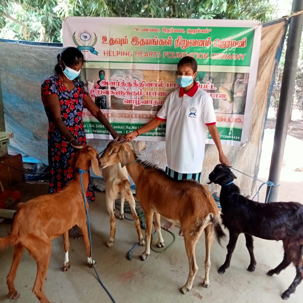 “இனிய திருமண நாள் வாழ்த்துக்கள்” உதவித் தொகை:225,000.00 திரு திருமதி சிவநேசன் ஆனந்தமாலா தம்பதியினர் Helping Hearts News