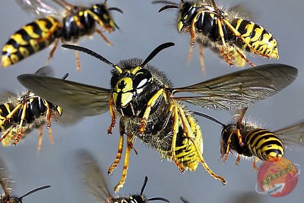 இலங்கையில் சுற்றுலா சென்றவர்களுக்கு நேர்ந்த நிலை! -Karihaalan news