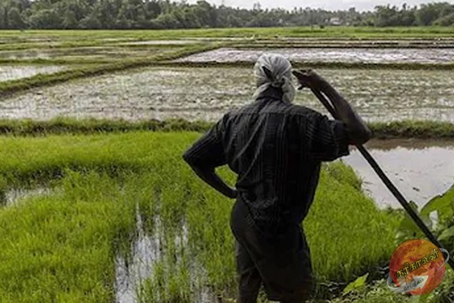 விவசாயிகளுக்கு இன்று முதல் டீசல்-Karihaalan news