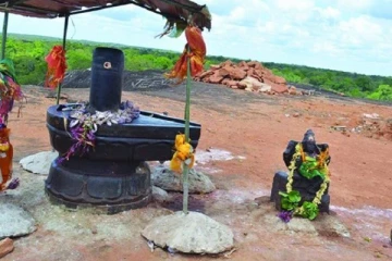 வெடுக்குநாறி மலை சிலைகள் தொடர்பில் வெளியான தகவல்!