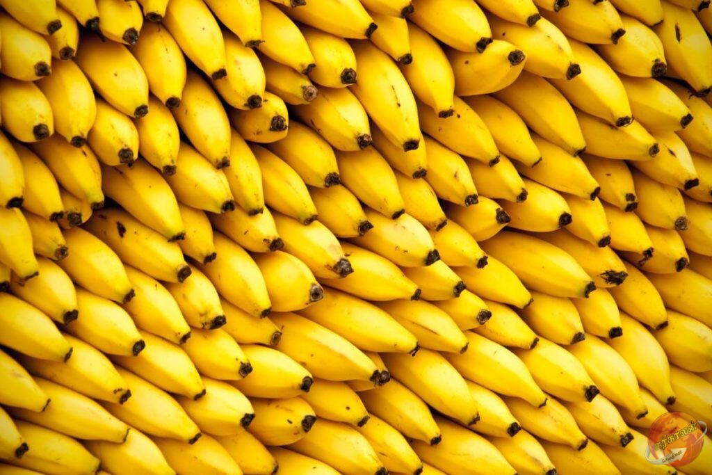 டுபாய் சந்தைக்கு ஏற்றுமதி செய்யப்படும் யாழ். புளி வாழைப்பழம்