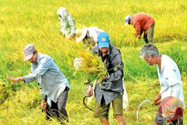 விவசாயிகளுக்கு துப்பாக்கிம்