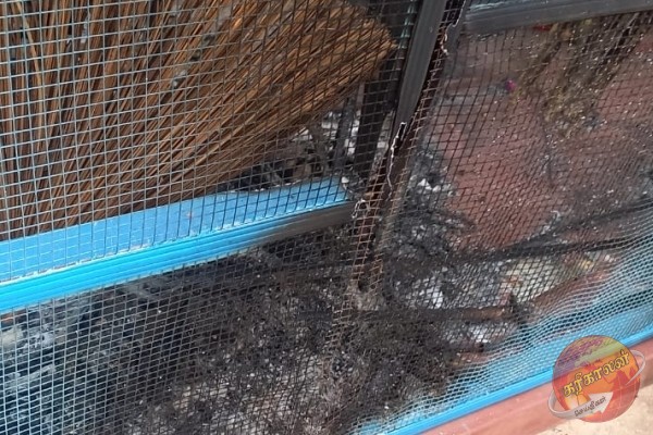 யாழில் வர்த்தக நிலையம் ஒன்று தீக்கிரை; விக்ஷமிகள் செயலா?