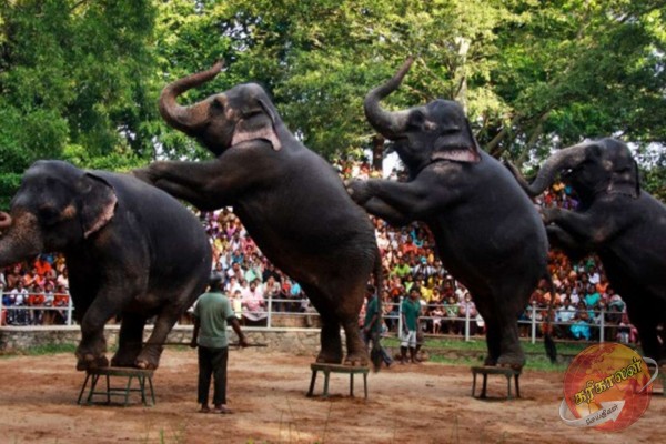 இன்று சிறுவர்களுக்கு இலவச அனுமதி!