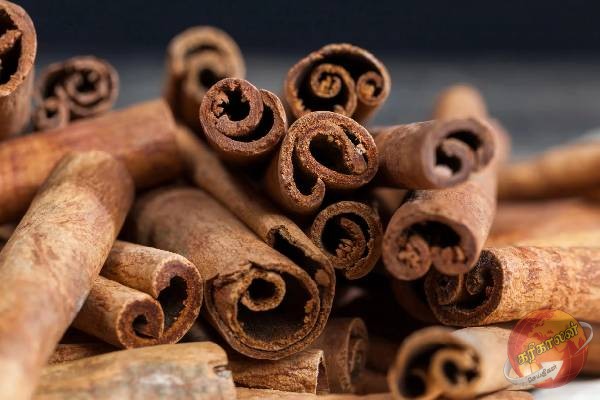 கறுவா அபிவிருத்திக்கான புதிய திணைக்களத்தை ஸ்தாபிக்க அமைச்சரவை அனுமதி