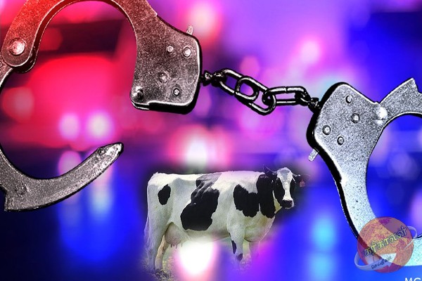 மாடு திருடியதால் பணிநீக்கம் செய்யப்பட்ட பொலிஸ் அதிகாரி!