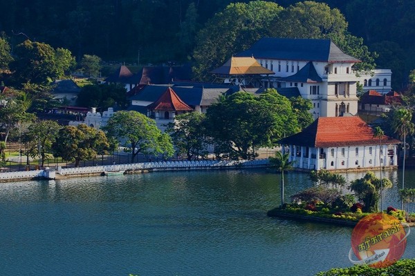 யாழில் இருந்து சுற்றுலா சென்ற பிரபல தனியார் கல்வி நிலையம்; காசை மிச்சப்படுத்த மாணவர்களை விகாரையில் தங்க வைத்த அவலம்