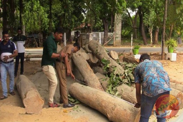 யாழ் மீசாலையில் பொலிஸாரின் அதிரடி நடவடிக்கை: ஒருவர் கைது