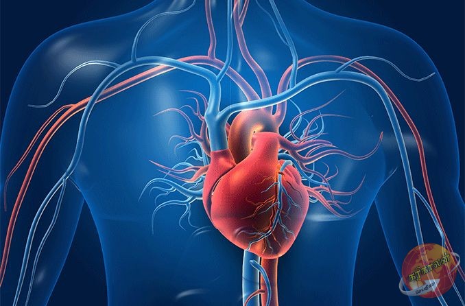 சர்க்கரை வியாதி இருந்தால் இதய நோய் ஏற்படுமா? முழு விளக்கம் இதோ..!!