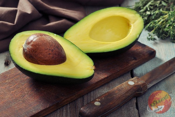 இதய ஆரோக்கியத்தை மேம்படுத்தும் அவகேடோ: இவ்வளவு நன்மைகளா?