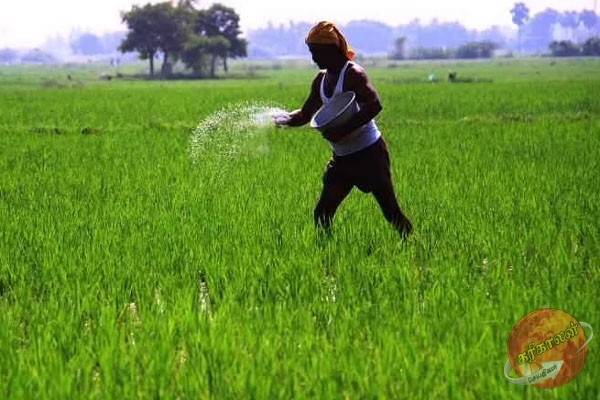 விவசாய அமைச்சு விவசாயிகளுக்கு விடுத்த அறிவுறுத்தல்