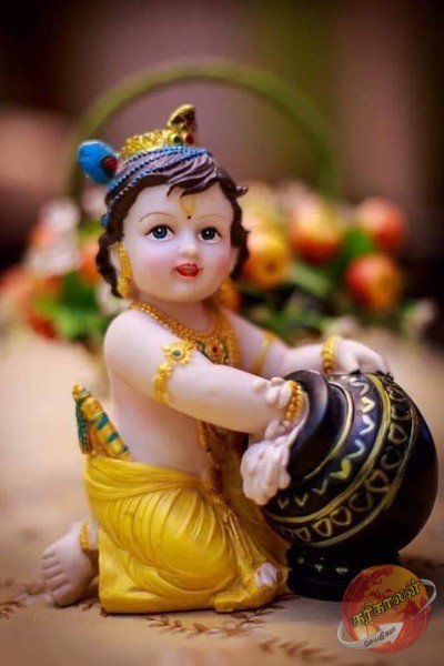 கிருஷ்ண ஜெயந்தியன்று இந்த பொருட்களை வாங்கினால் நல்லதாம்