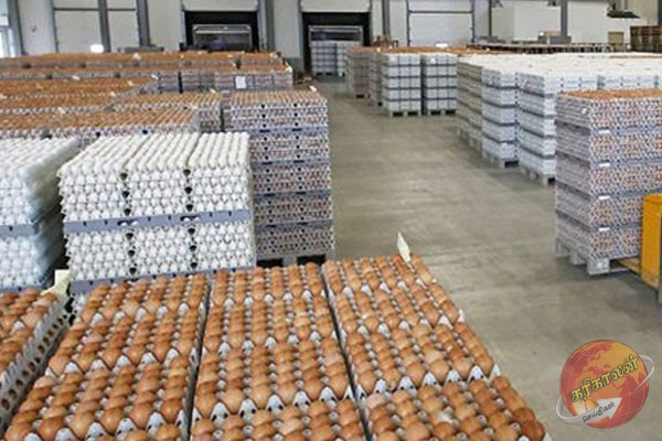 கொழும்பு துறைமுகத்தில் பழுதடைந்த முட்டைகள் கையிருப்பு