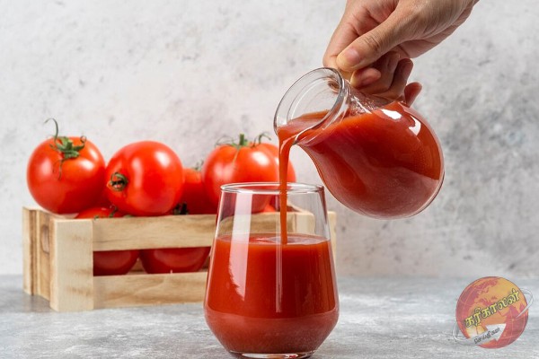 தினமும் தக்காளி ஜுஸ் குடிச்சா உடலில் இப்படியொரு மாற்றம் கிடைக்குமா?