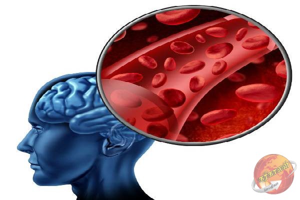 நினைவாற்றலை அதிகரிக்க வேண்டுமா? இந்த உணவுகளை கட்டாயம் சாப்பிடுங்க