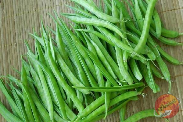 இதய நோய்களுக்கு முடிவுகட்டனுமா? அப்போ கொத்தவரங்காய் தான் பெஸ்ட் சாய்ஸ்