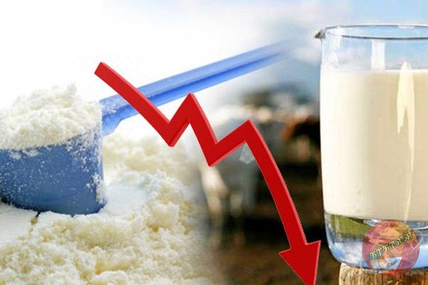 பால்மாவின் விலையில் மாற்றம்