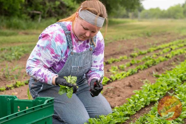 10,000 பேரை இஸ்ரேலுக்கு அனுப்பும் இலங்கை!