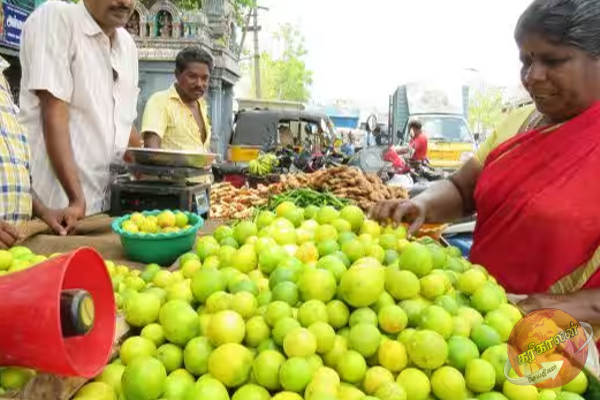 தேசிக்காயின் விலை எவ்வளவு தெரியுமா?