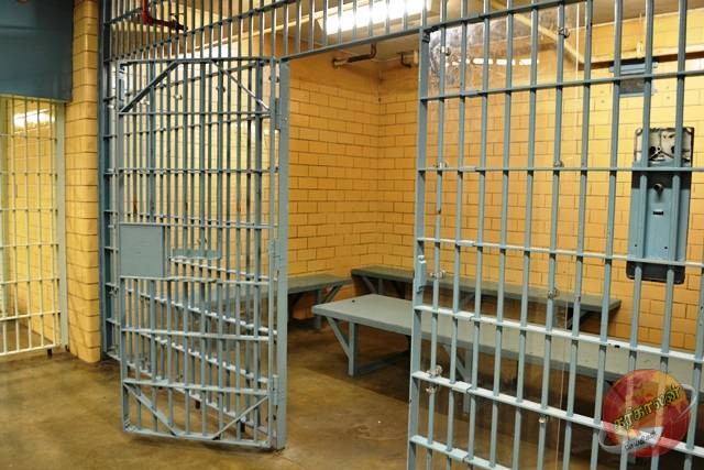 ஒன்மெக்ஸ் நிறுவனத்தின் பணிப்பாளர்கள் ஐவருக்கு சரீரப் பிணை!