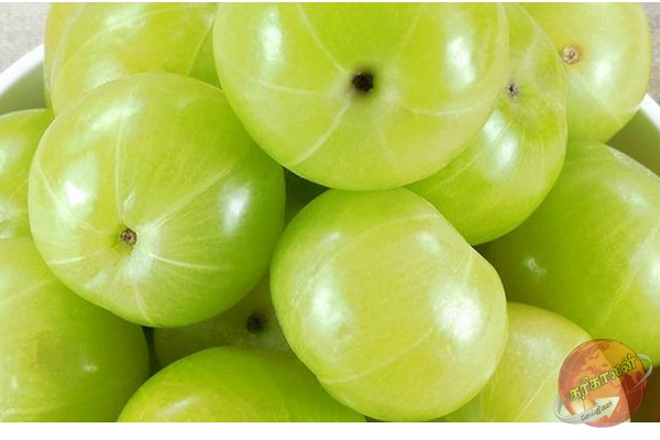 நெல்லிக்கனியினால் கிடைக்கப்பெறும் நன்மைகள்!