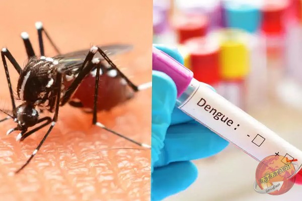 டெங்கு இறப்புகளை குறைப்பதில் இலங்கை, தாய்லாந்து முன்னணியில்!
