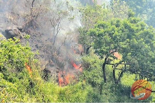 எல்ல பகுதியில் பாரிய தீ விபத்து ; ஐந்து ஏக்கர் நிலப்பரப்பு முற்றாக பாதிப்பு