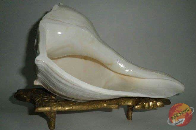 தமிழர் பகுதியில் பல கோடி ரூபா பெறுமதியான பொருளுடன் சிக்கிய குரு