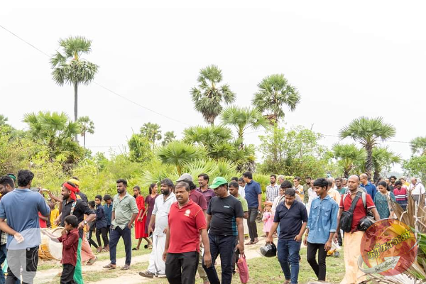 யாழில் நடைபெற்ற பனைத் திருவிழா