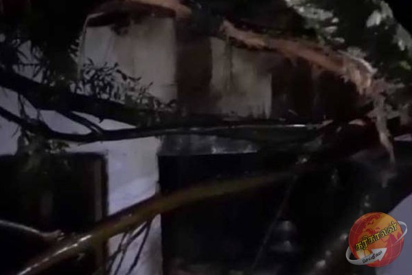 இலங்கையில் ஏற்பட்ட பாரிய அசம்பாவிதம்: பரிதாபமாக உயிரிழந்த பெண்! இருவர் வைத்தியசாலையில்