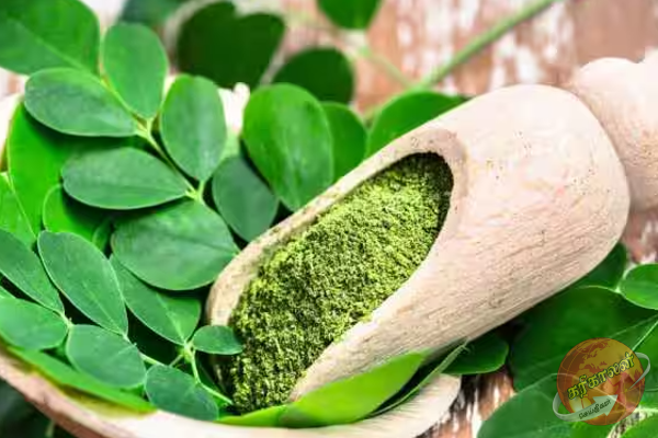 பால் குடிக்காமல் பாலில் உள்ள கல்சியம் வேண்டுமா? இதை மட்டும் சாப்பிட்டாலே போதும்