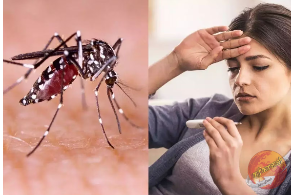 மேல் மாகாணத்தில் அதிகரிக்கும் டெங்கு நோய் தாக்கம் ; சுகாதார அமைச்சின் விசேட அறிவுறுத்தல்