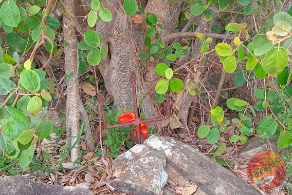 திருகோணமலையில் காணாமல் போன வழிபாட்டு தலத்தில் திடீரென தோன்றிய வேல்