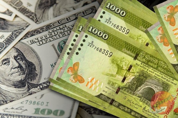 2024இல் ஒரு டொலரின் பெறுமதி 400 ரூபாய் : எதிர்பார்ப்பு தொடர்பில் ரணிலின் அறிவிப்பு