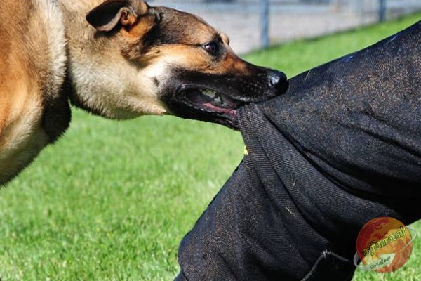 கொழும்பில் நபரொருவரை கைது செய்ய சென்ற பொலிஸாருக்கு காத்திருந்த அதிர்ச்சி!