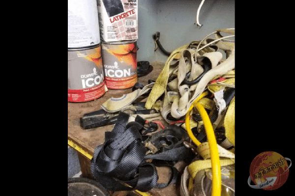 Optical Illusion: இந்த படத்தில் ஒரு விஷப்பாம்பு இருக்கிறது அதை கண்டுபிடிக்க முடியுமா?