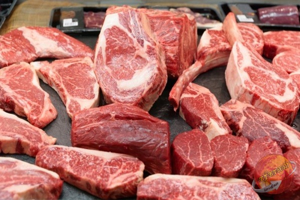 யாழில் சட்டவிரோத மாட்டிறைச்சி கடத்தி வந்த இருவர் கைது