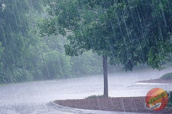 கொழும்பு மற்றும் பல பகுதிகளில் தொடரும் கனமழை ; பொதுமக்களுக்கு விடுத்துள்ள எச்சரிக்கை