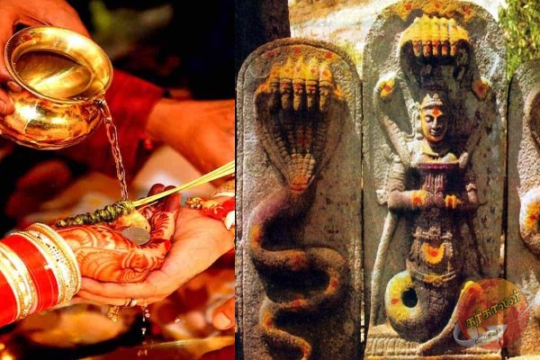 நாளை நாக பஞ்சமி ; தோஷங்கள் நீங்கும் வழிபாட்டு முறை