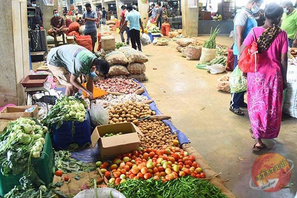 கிழங்கு விலையில் அதிகரிப்பு