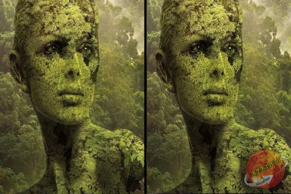 உங்கள் எதிர்காலத்தை கணிக்க ஒரு Test: படத்தில் தெரிவது என்ன?